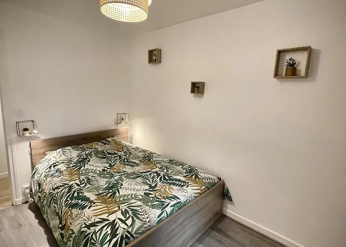 Apartment En Plein Coeur De Clermont-fd *