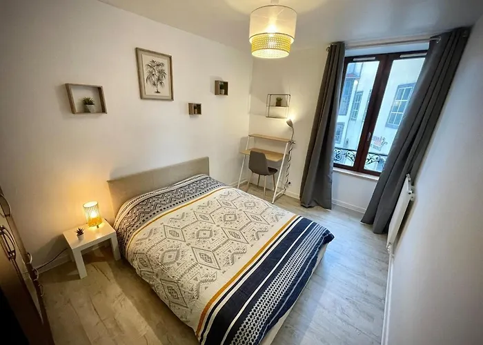 Apartment En Plein Coeur De Clermont-fd *