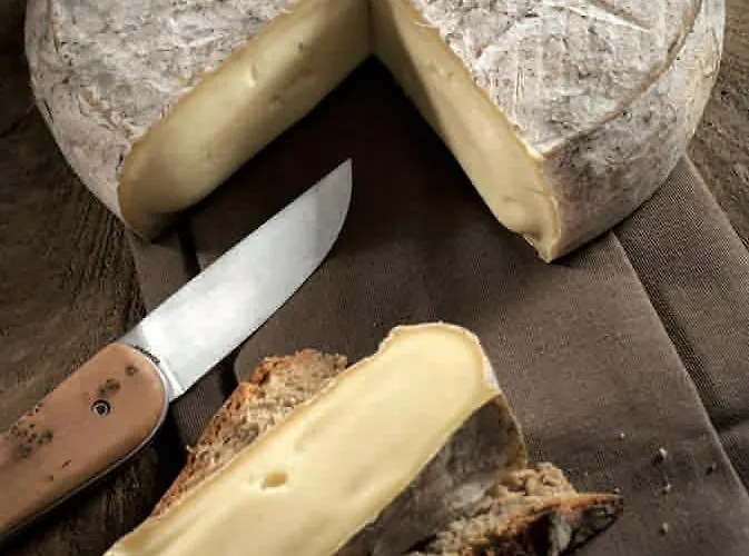 En Plein Coeur De Clermont-fd Clermont-Ferrand